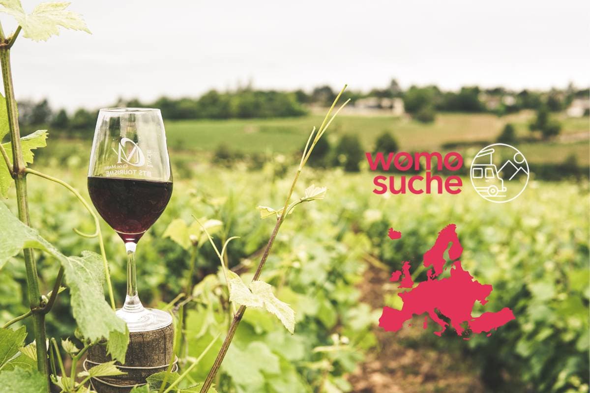 Camping an Europas Weingütern: Zu Besuch bei den Winzern