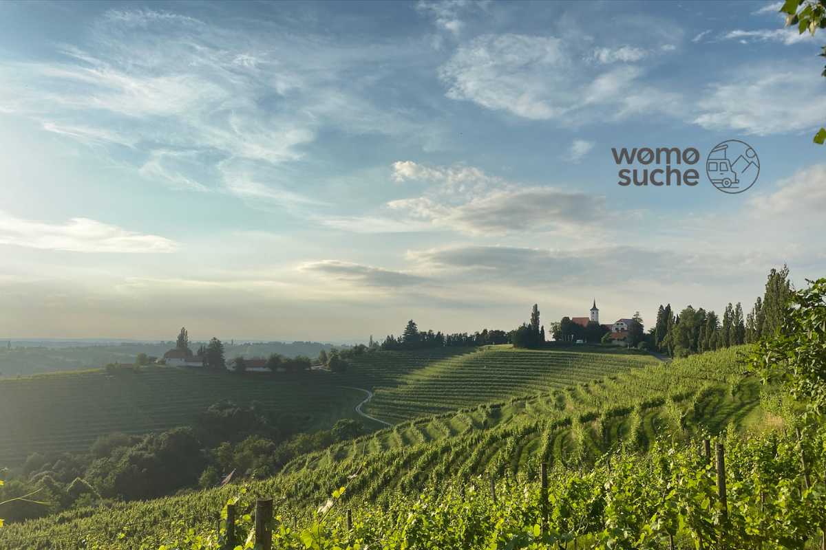 Camping beim Winzer: Deutsche Weingüter im Urlaubs-Check