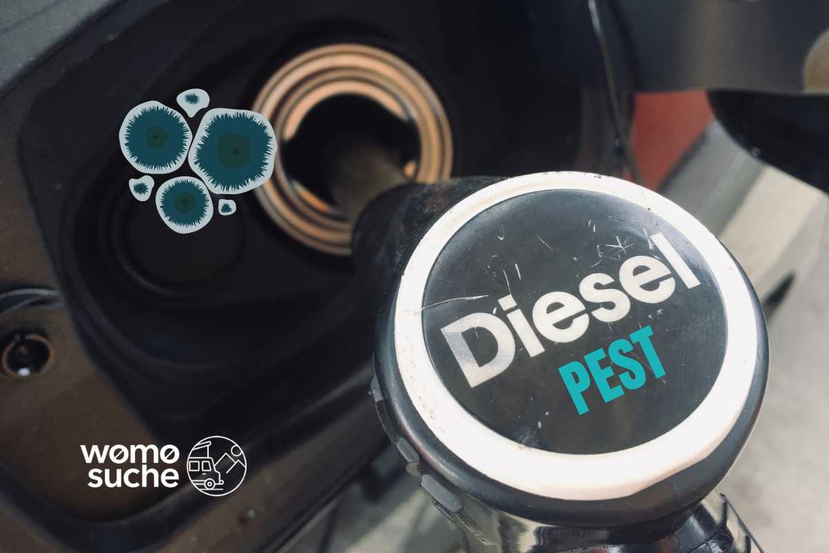 Dieselpest - was tun gegen Schimmel im Dieseltank?
