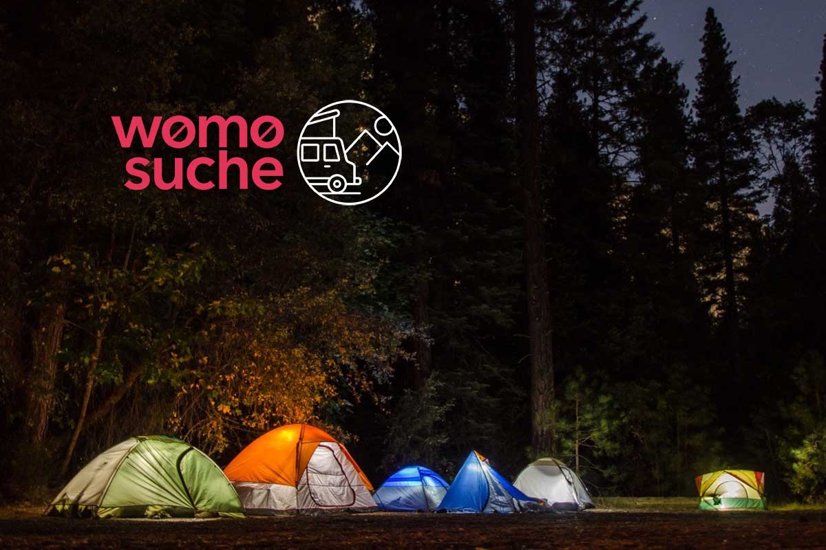 Wildcamping in Polen: Forstverwaltung öffnet 425 Waldgebiete mit 600.000 Hektar