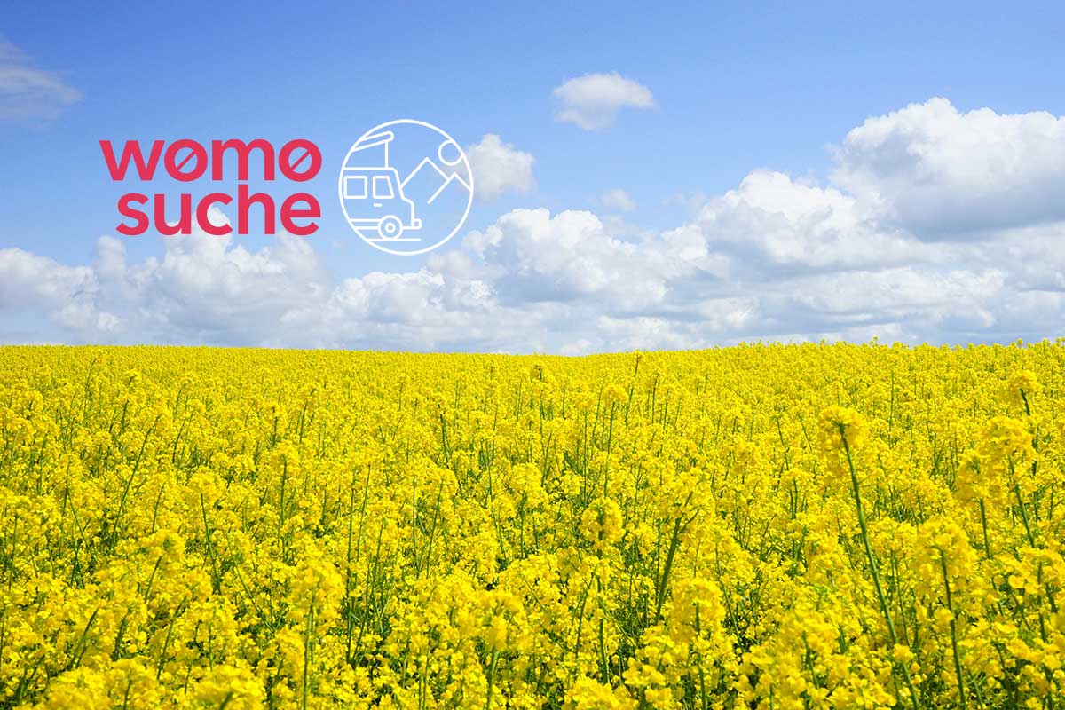 Wohnmobil-Saison 2021: mit dieser Checkliste startest Du problemlos in den Urlaub