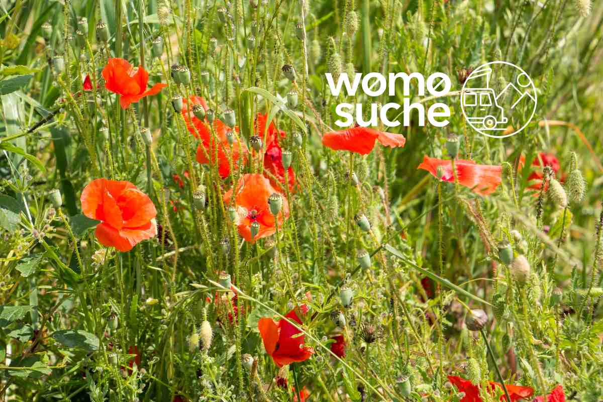 Reisebericht durch das Zauberhafte Italien: Unterwegs im Oltrepò Pavese im Norden Italiens