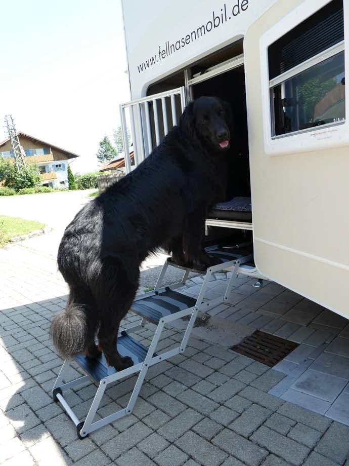 Fellnasenmobil Carado T448: Das Wohnmobil für Hunde in Roßhaupten