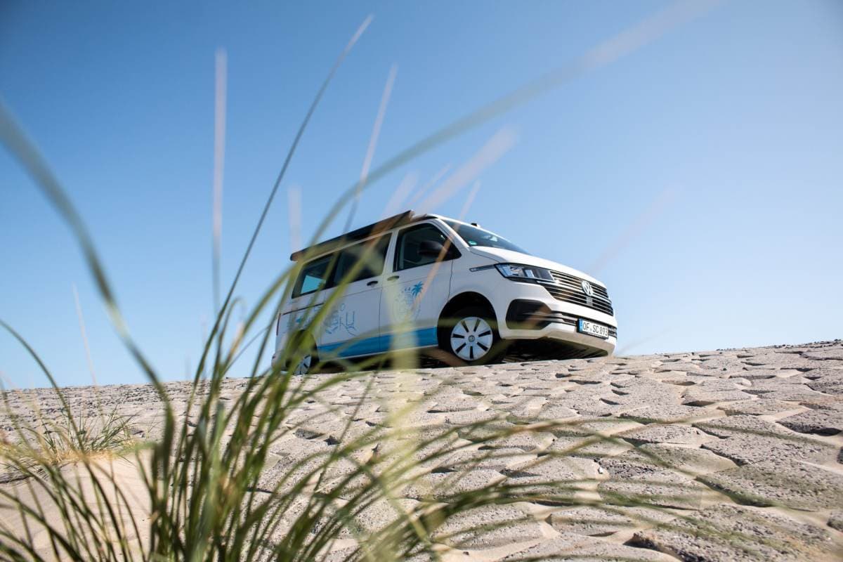 VW California T6.1 Ocean "Maui Dog" - Camper in Obertshausen