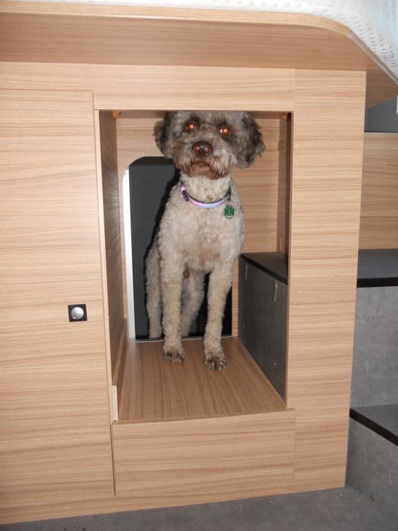 WAUMOBIL PINO - Wohnmobil in Dresden - Bild 1