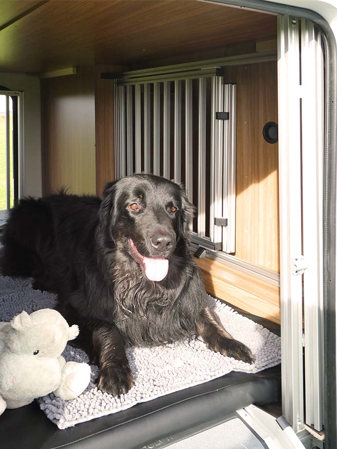 Fellnasenmobil Carado A464: Das Alkoven-Wohnmobil für Hunde in Roßhaupten