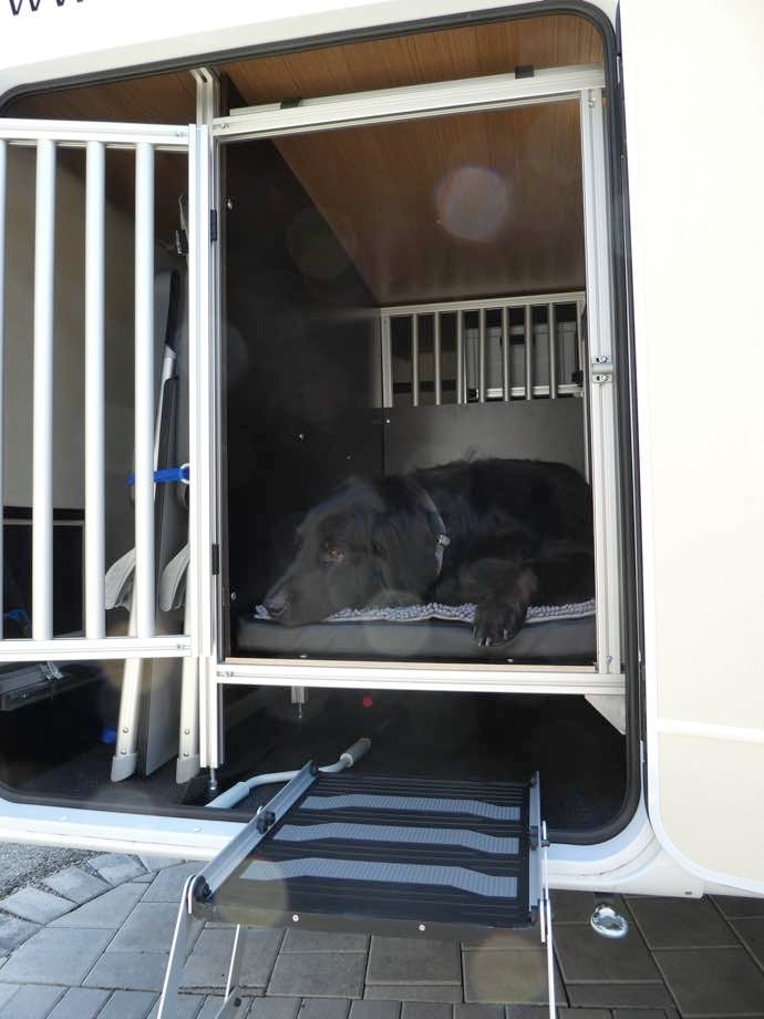Fellnasenmobil Carado T448: Das Wohnmobil für Hunde in Roßhaupten