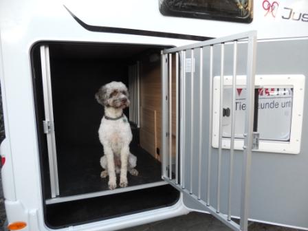 Waumobil Carla - Urlaub mit Hund im Wohnmobil in Dresden