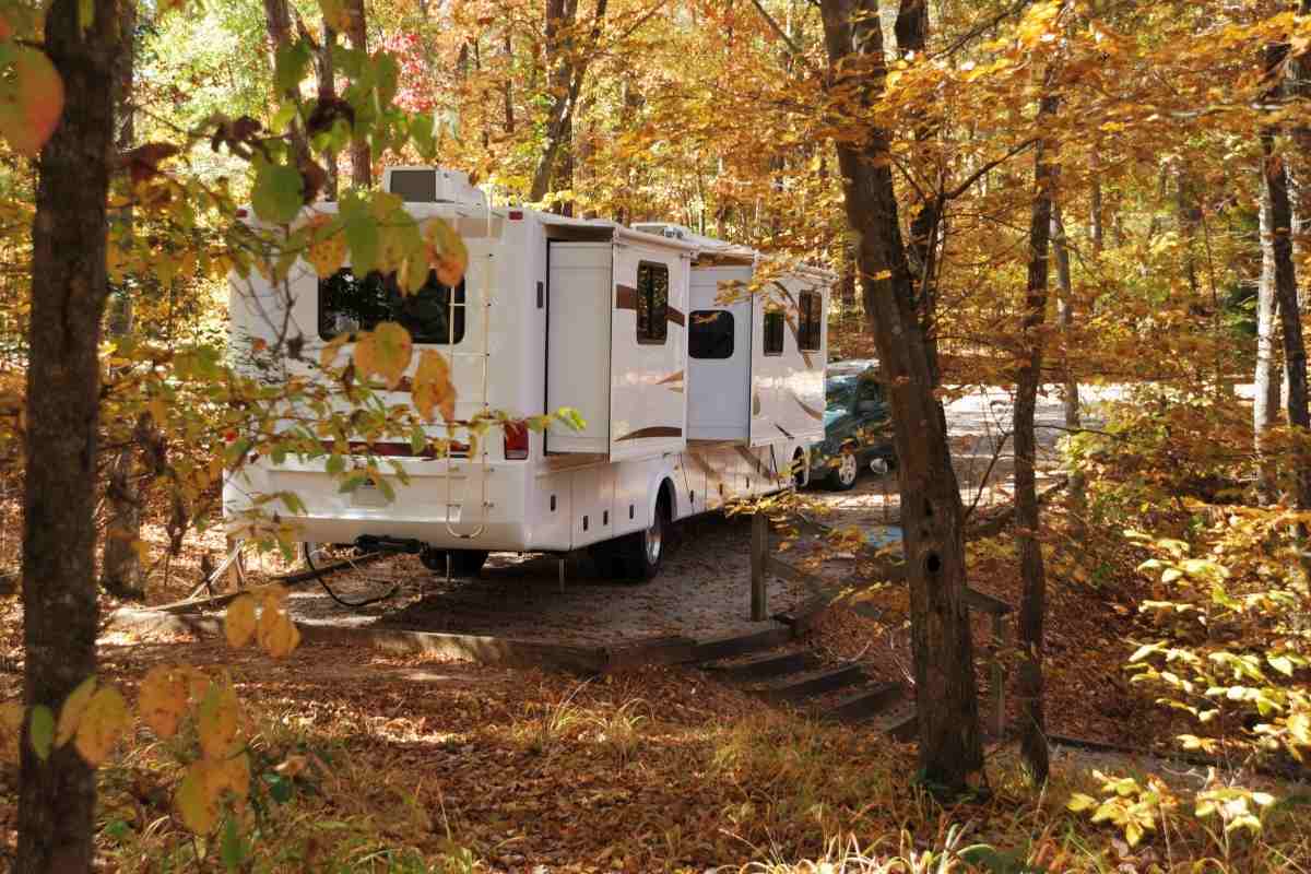 wald camping im herbst