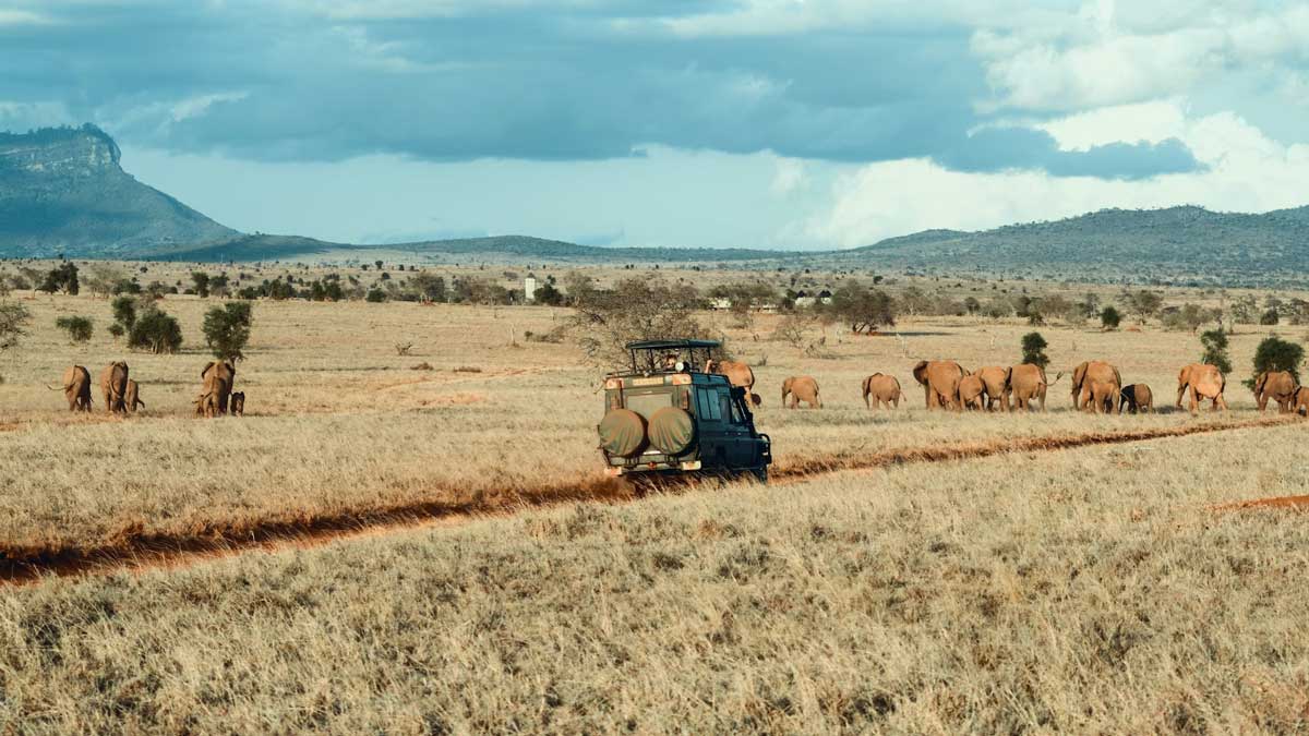 Safari in Ostafrika